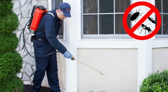 Tomarza Hamam Böceği İlaçlama böcek ilaçlama ve haşere kontrolü — ilaclama-tr.com